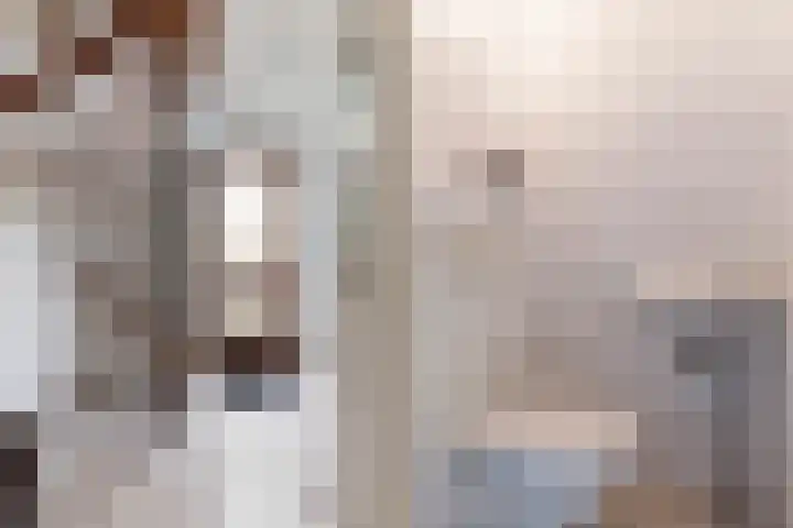 Bronbeekhof 7 Apeldoorn thumbnail 11