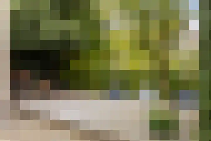 Bronbeekhof 7 Apeldoorn thumbnail 23