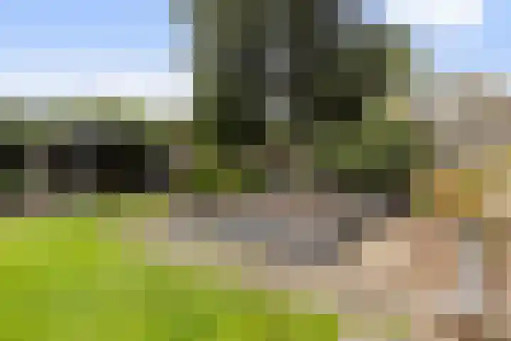 Bronbeekhof 7 Apeldoorn thumbnail 25