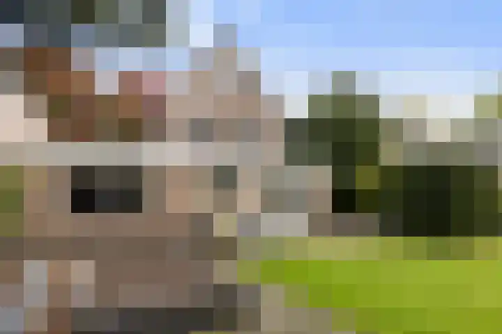 Bronbeekhof 7 Apeldoorn thumbnail 26
