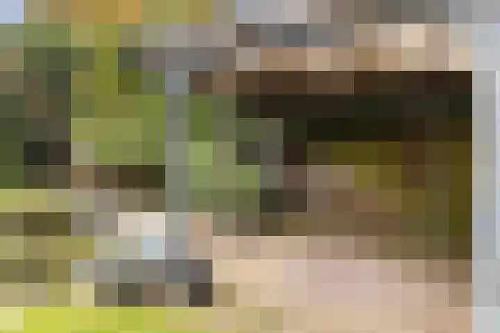 Bronbeekhof 7 Apeldoorn thumbnail 27