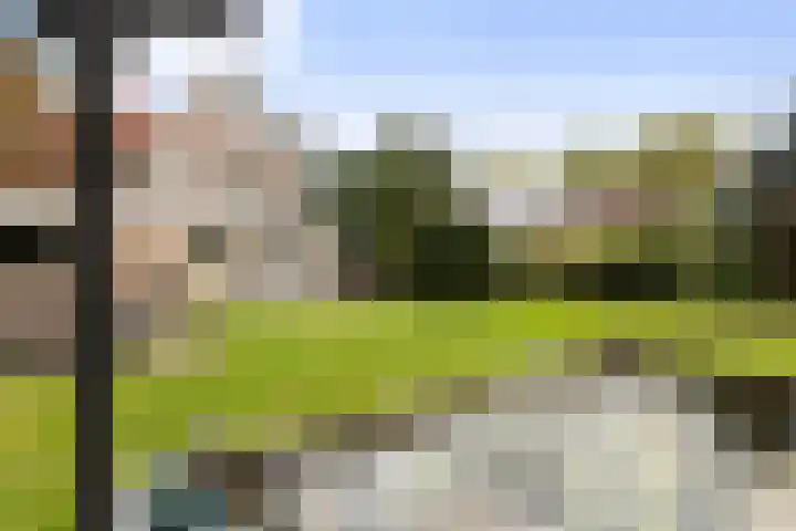 Bronbeekhof 7 Apeldoorn thumbnail 28