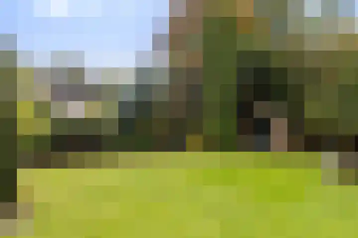 Bronbeekhof 7 Apeldoorn thumbnail 30