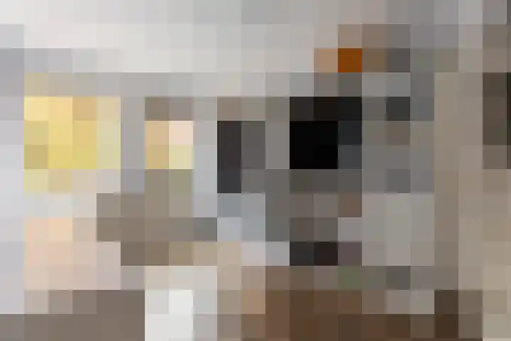 Bronbeekhof 7 Apeldoorn thumbnail 32