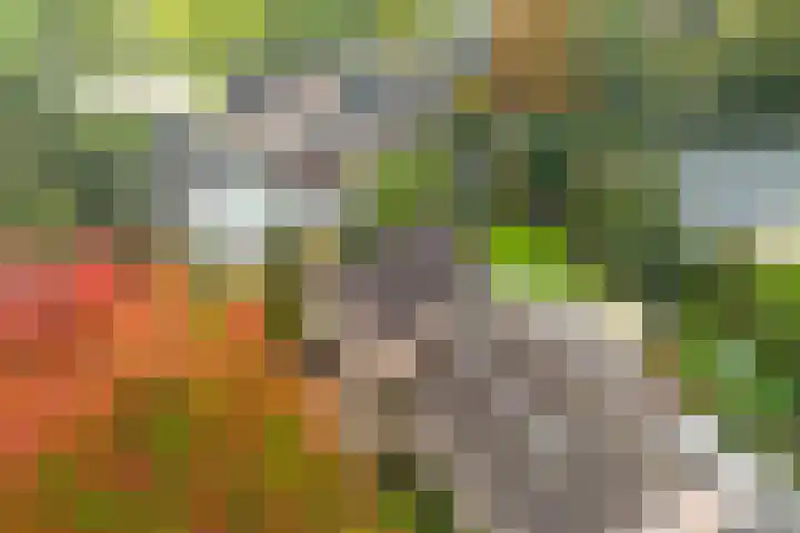 Bronbeekhof 7 Apeldoorn thumbnail 43