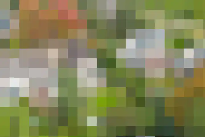 Bronbeekhof 7 Apeldoorn thumbnail 44