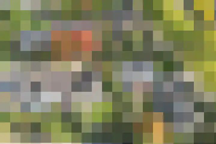 Bronbeekhof 7 Apeldoorn thumbnail 45