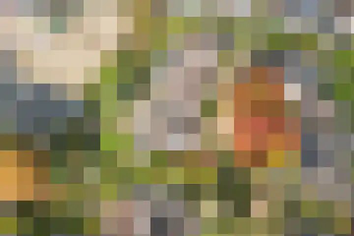 Bronbeekhof 7 Apeldoorn thumbnail 46