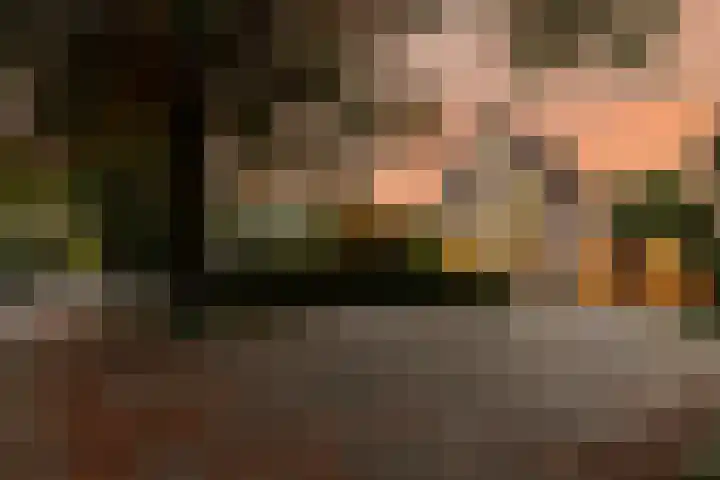 Bronbeekhof 7 Apeldoorn thumbnail 47