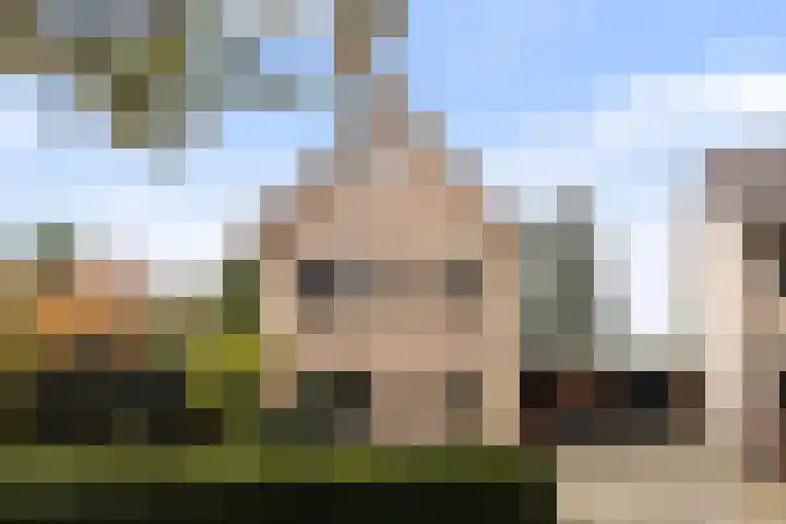 Bronbeekhof 7 Apeldoorn thumbnail 5