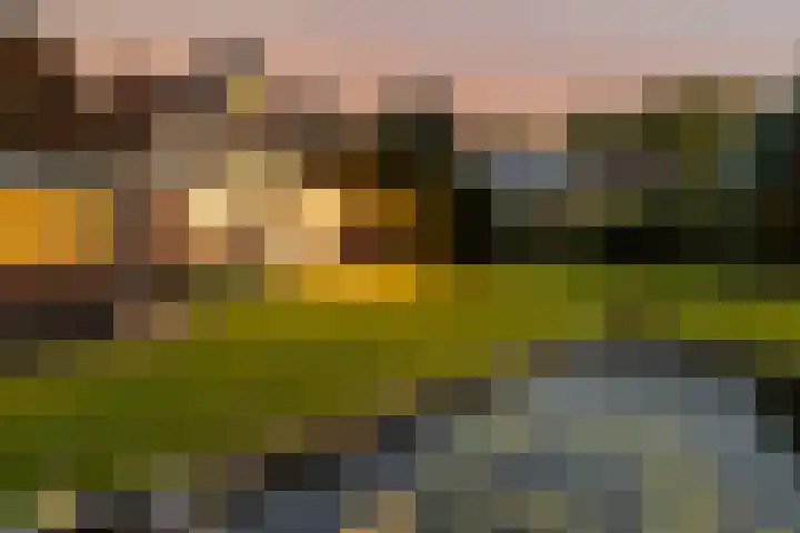 Bronbeekhof 7 Apeldoorn thumbnail 50
