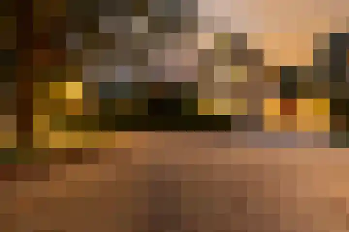 Bronbeekhof 7 Apeldoorn thumbnail 51
