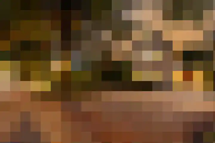 Bronbeekhof 7 Apeldoorn thumbnail 52