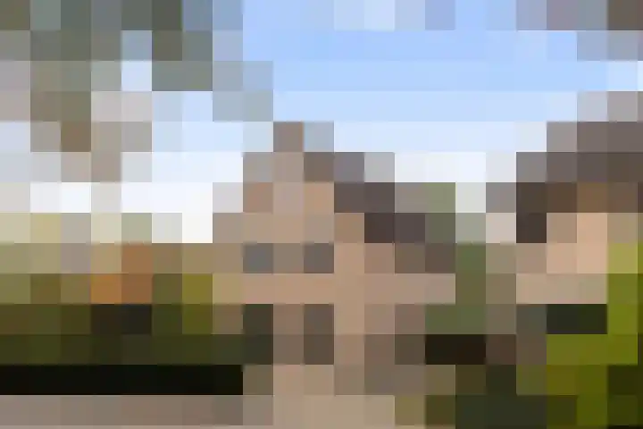 Bronbeekhof 7 Apeldoorn thumbnail 6