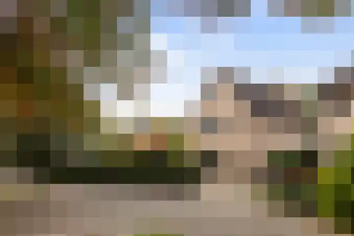Bronbeekhof 7 Apeldoorn thumbnail 7