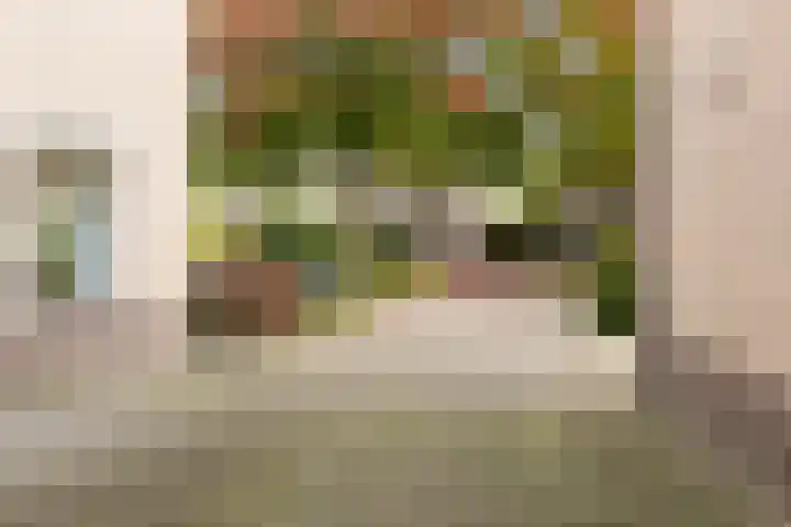 Bronbeekhof 7 Apeldoorn thumbnail 8