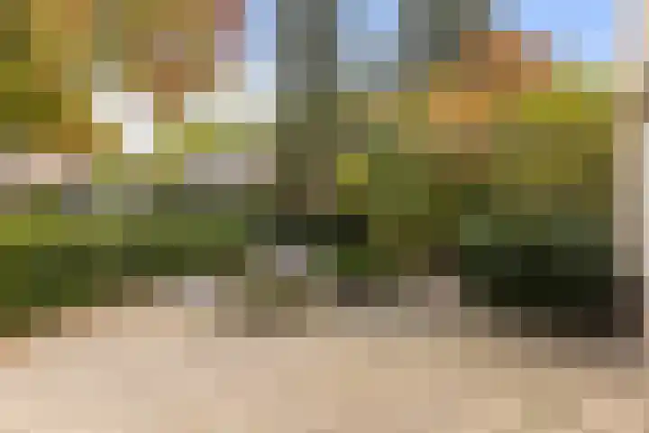 Bronbeekhof 7 Apeldoorn thumbnail 9