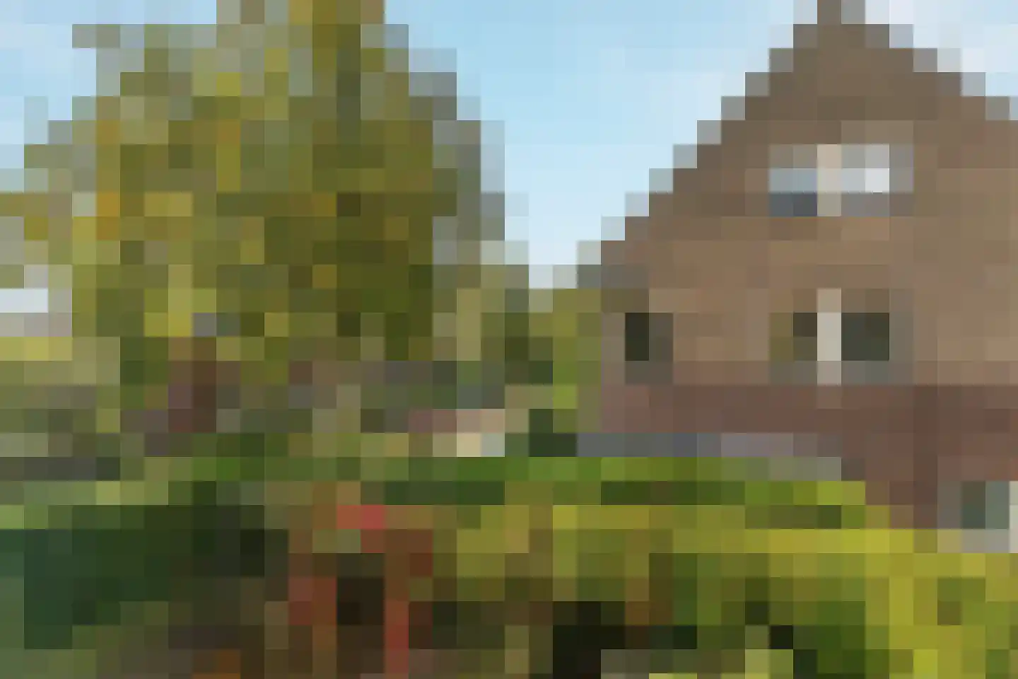 Bronbeeklaan 37 Arnhem thumbnail 29