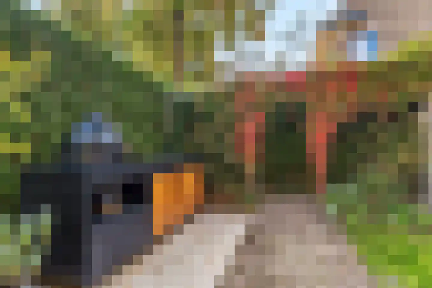 Bronbeeklaan 37 Arnhem thumbnail 47