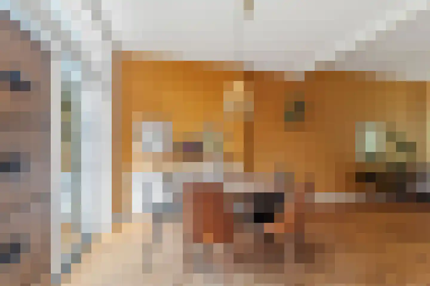 Bronbeeklaan 37 Arnhem thumbnail 7