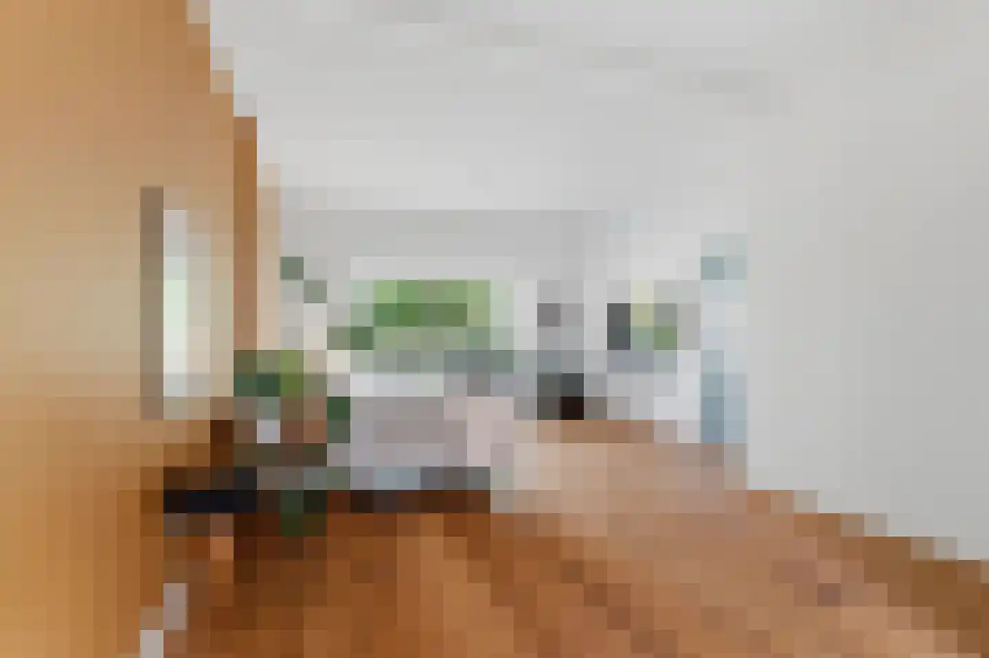 Bronbeeklaan 37 Arnhem thumbnail 8