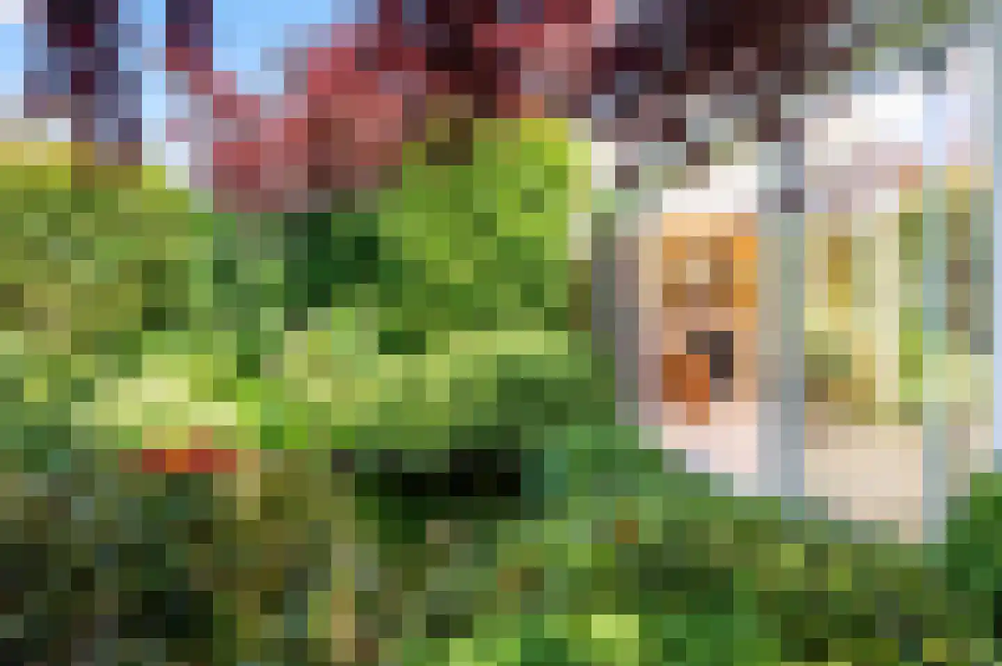 Bronbeekstraat 10 a Eibergen thumbnail 36