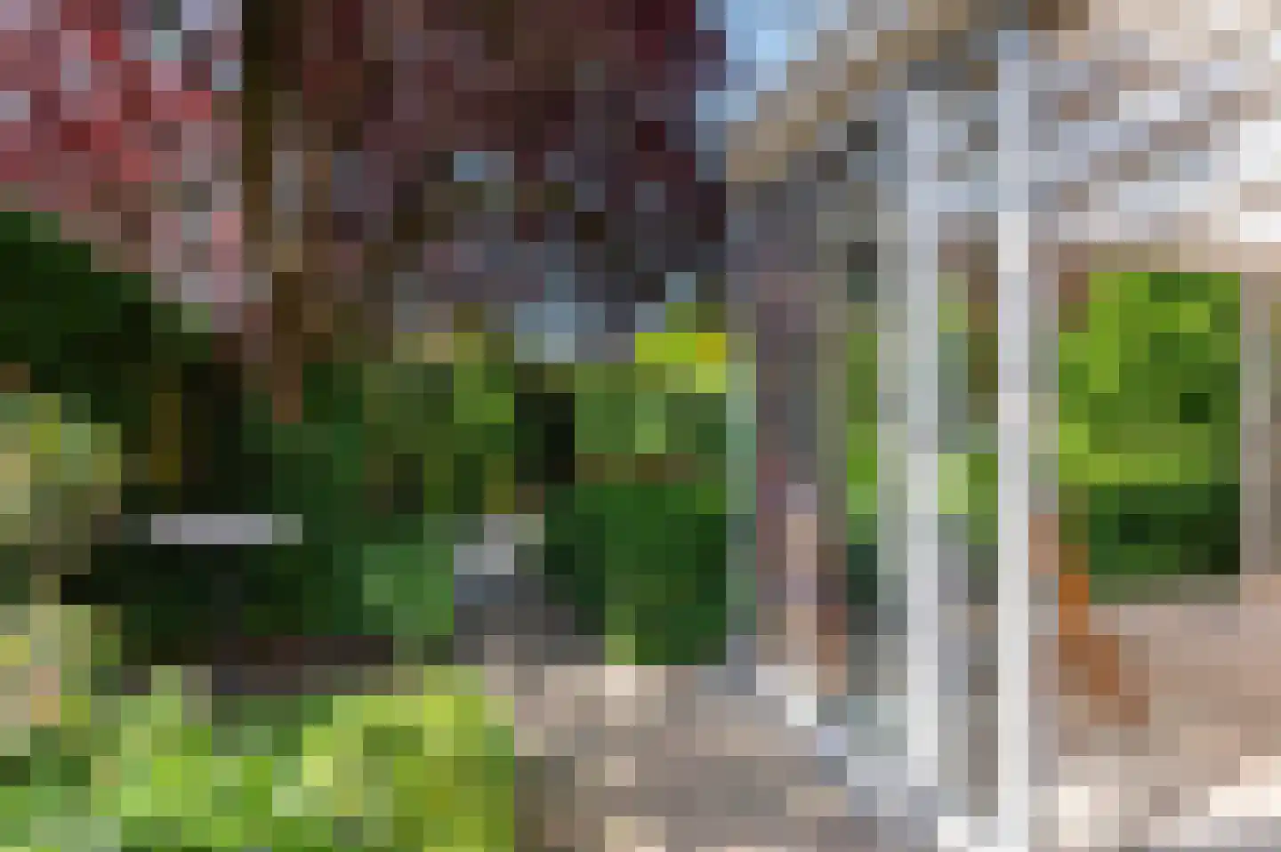 Bronbeekstraat 10 a Eibergen thumbnail 37