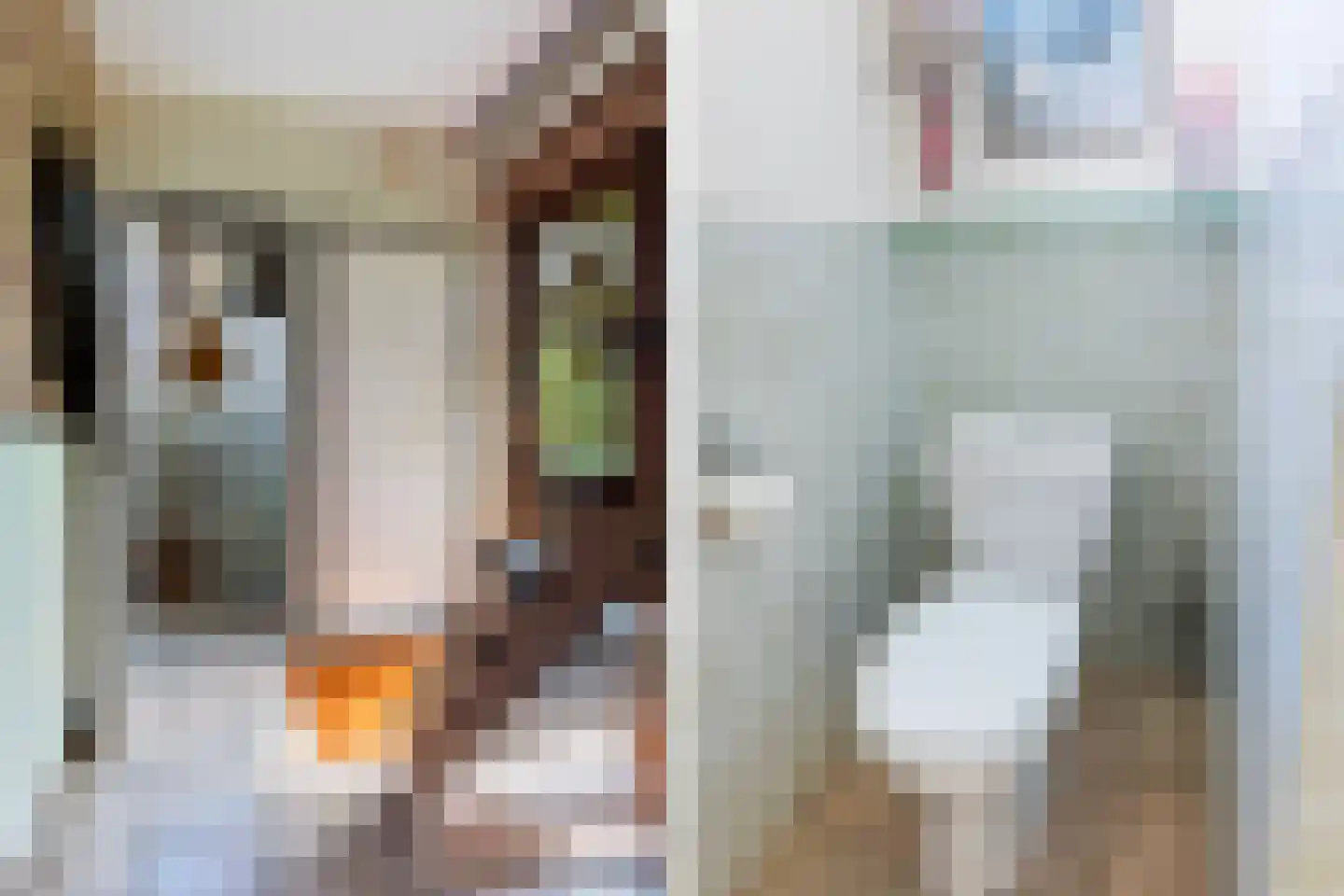 Bronbeekstraat 10 a Eibergen thumbnail 9