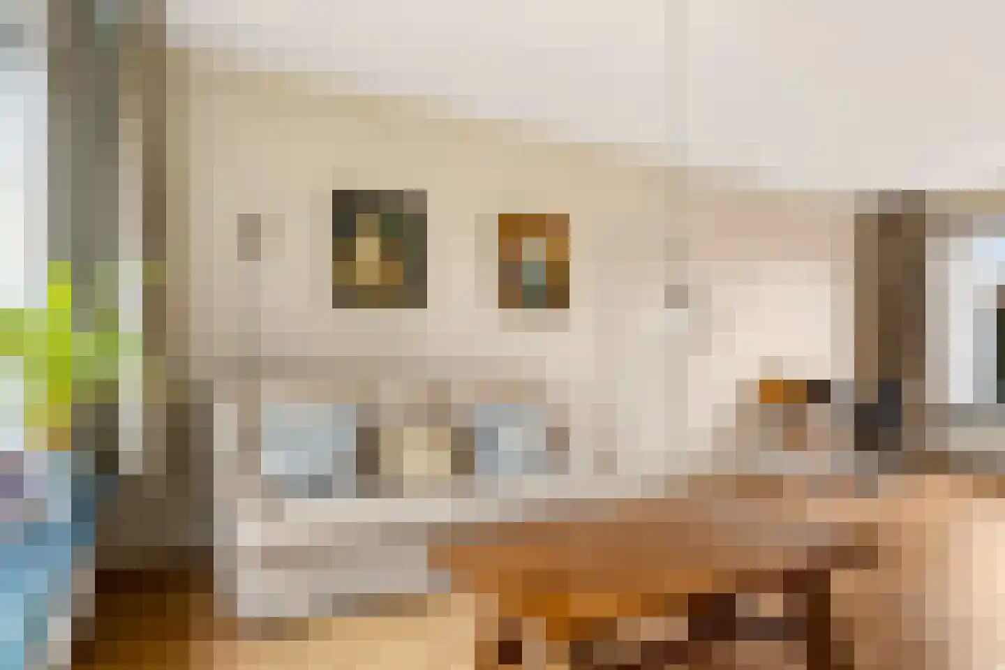 Bronbeekstraat 17 Eibergen thumbnail 12