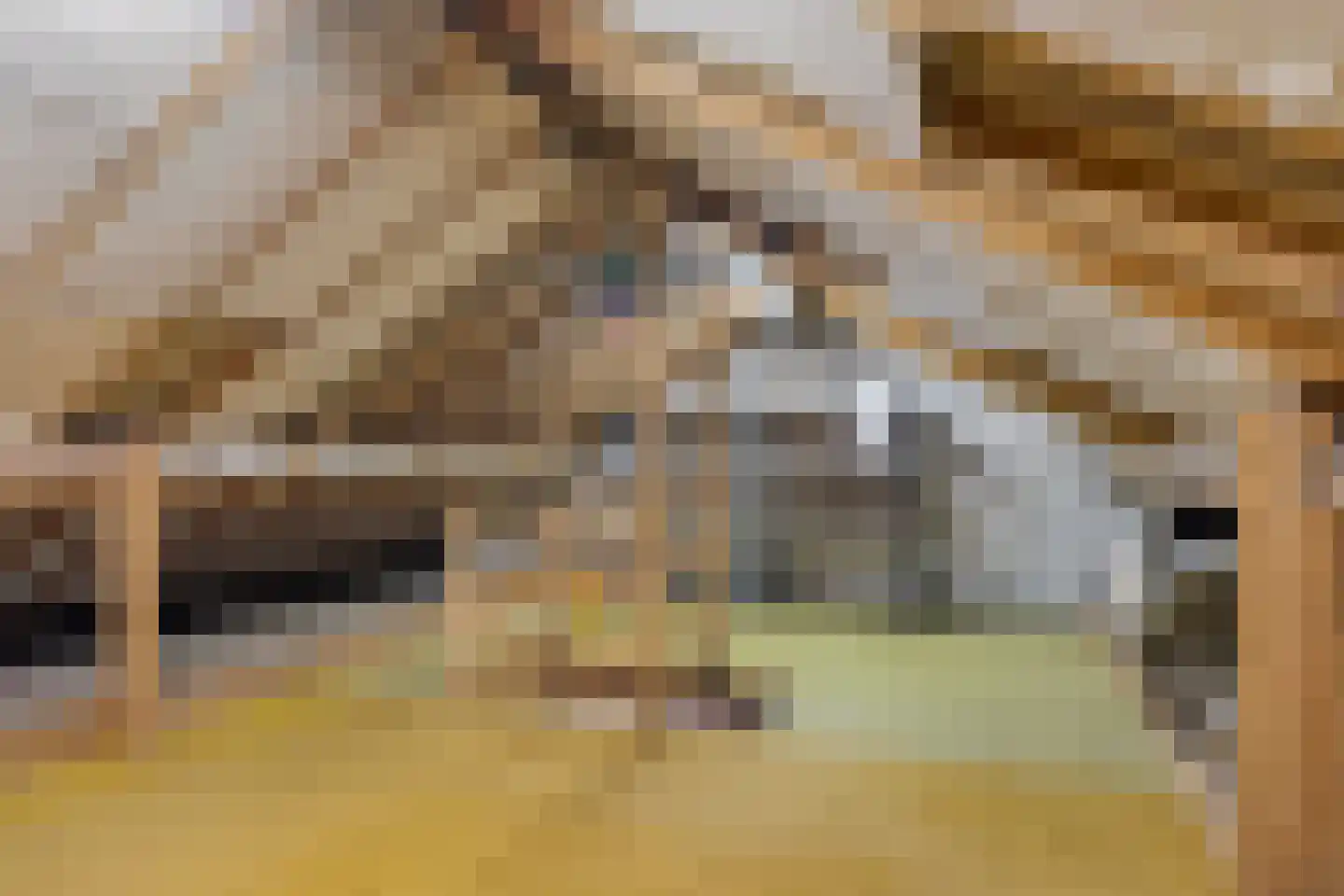 Bronbeekstraat 17 Eibergen thumbnail 30