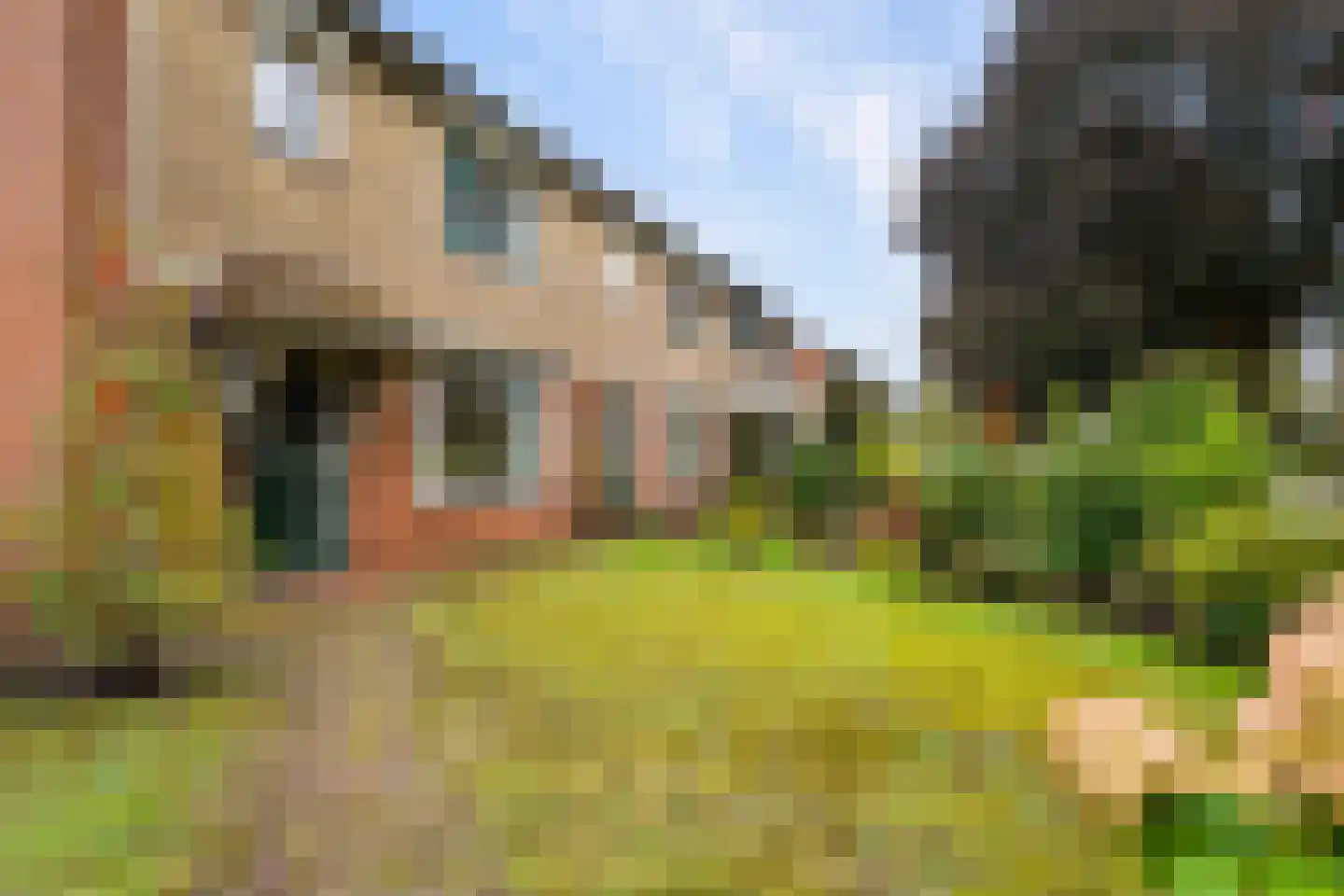 Bronbeekstraat 17 Eibergen thumbnail 47