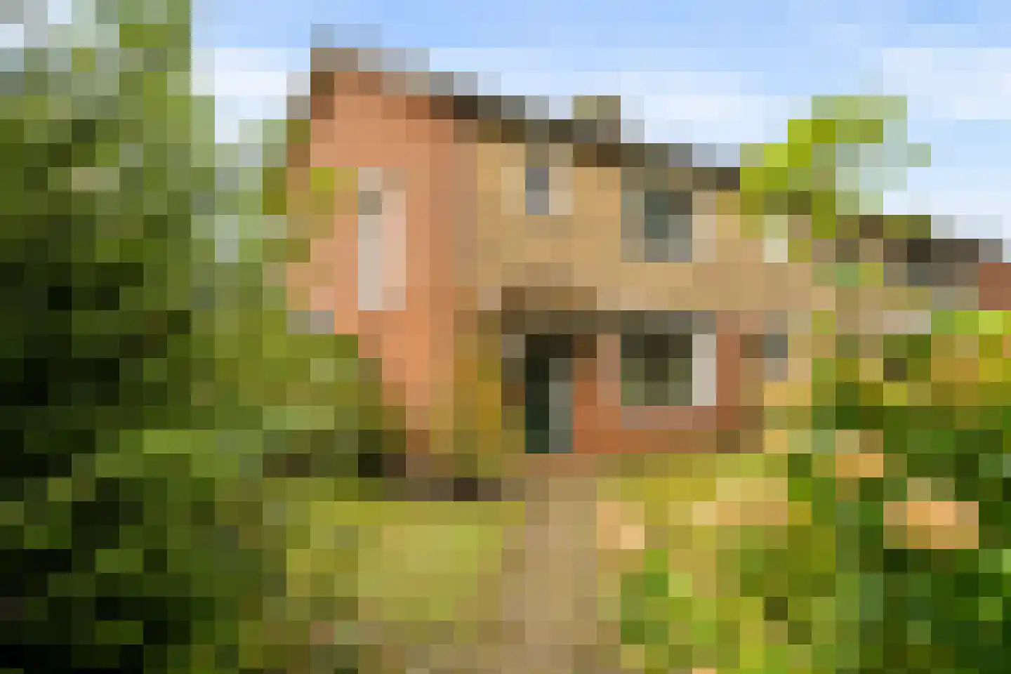 Bronbeekstraat 17 Eibergen thumbnail 6
