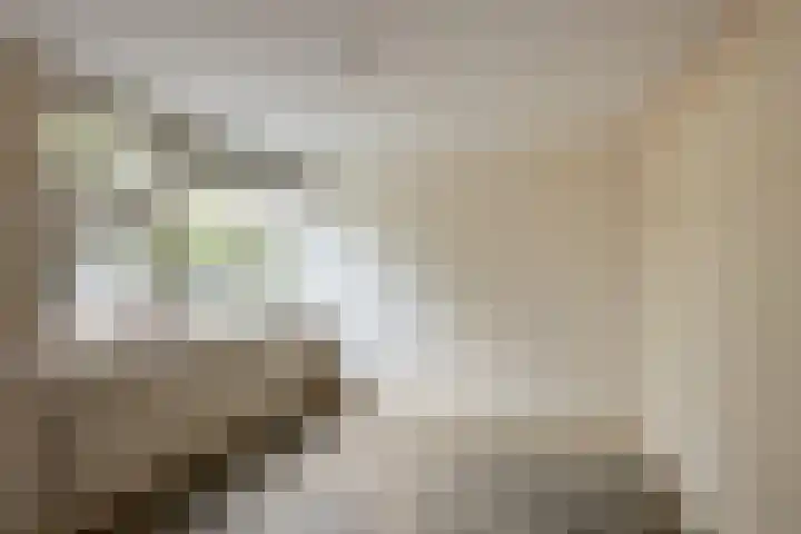 Bronbeekstraat 55 Eibergen thumbnail 15