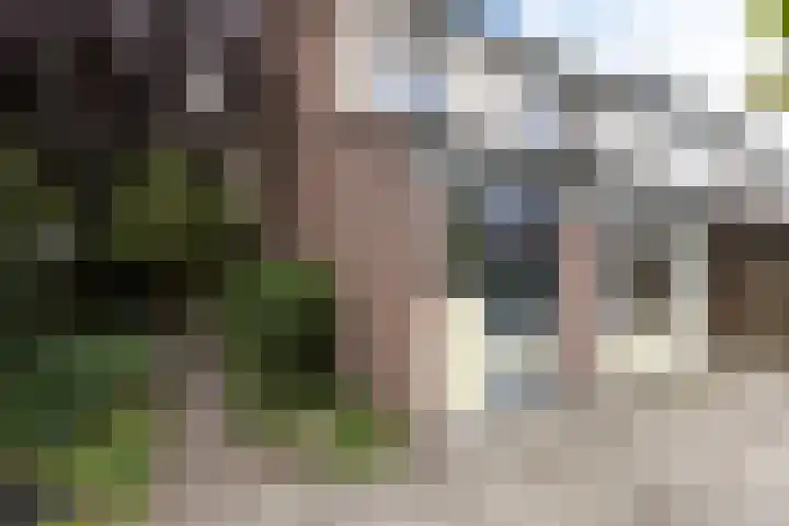 Bronbeekstraat 55 Eibergen thumbnail 26