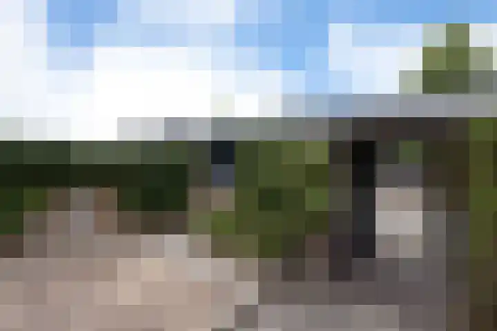 Bronbeekstraat 55 Eibergen thumbnail 29
