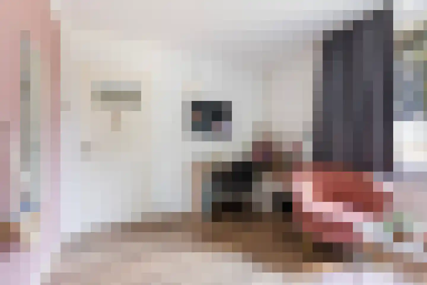 Bronbeekstraat 64 Eibergen thumbnail 21