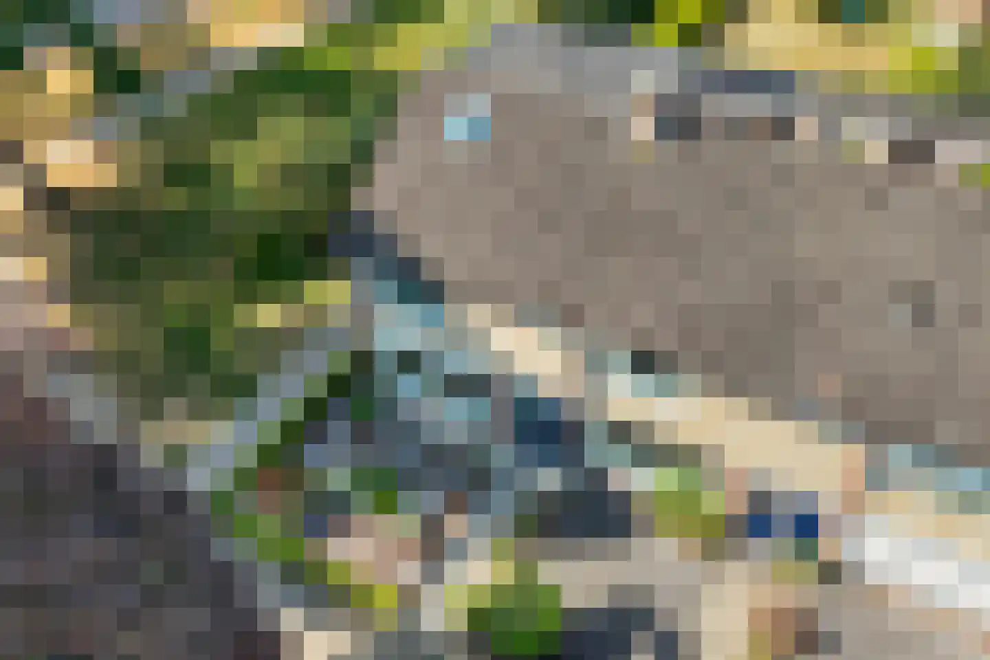 Bronbeekstraat 64 Eibergen thumbnail 6