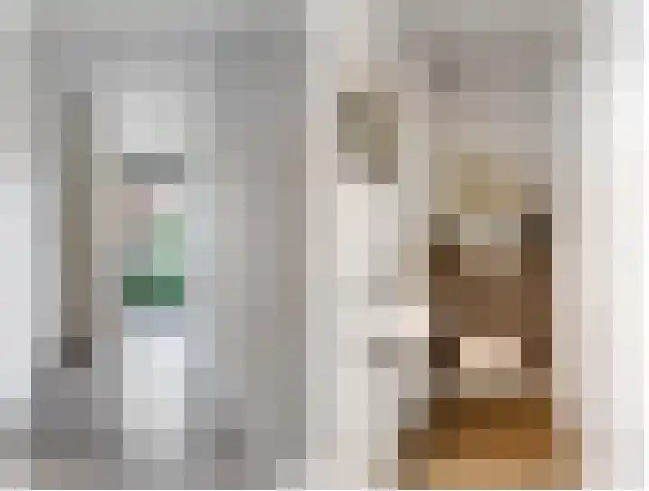 Bronckhorststraat 1 Lichtenvoorde thumbnail 4