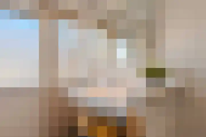 Bronckhorststraat 1 Noordwijk thumbnail 22