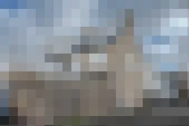 Bronckhorststraat 1 Noordwijk thumbnail 32