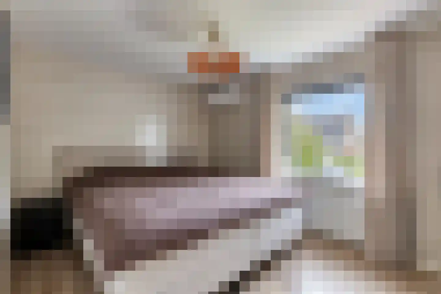 Bronckhorststraat 11 Lichtenvoorde thumbnail 18