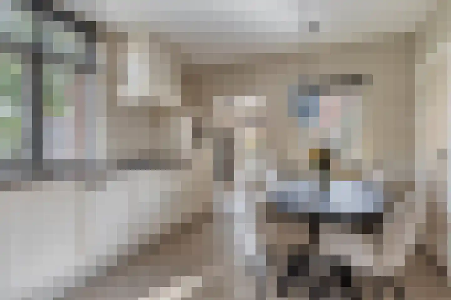 Bronckhorststraat 11 Lichtenvoorde thumbnail 7