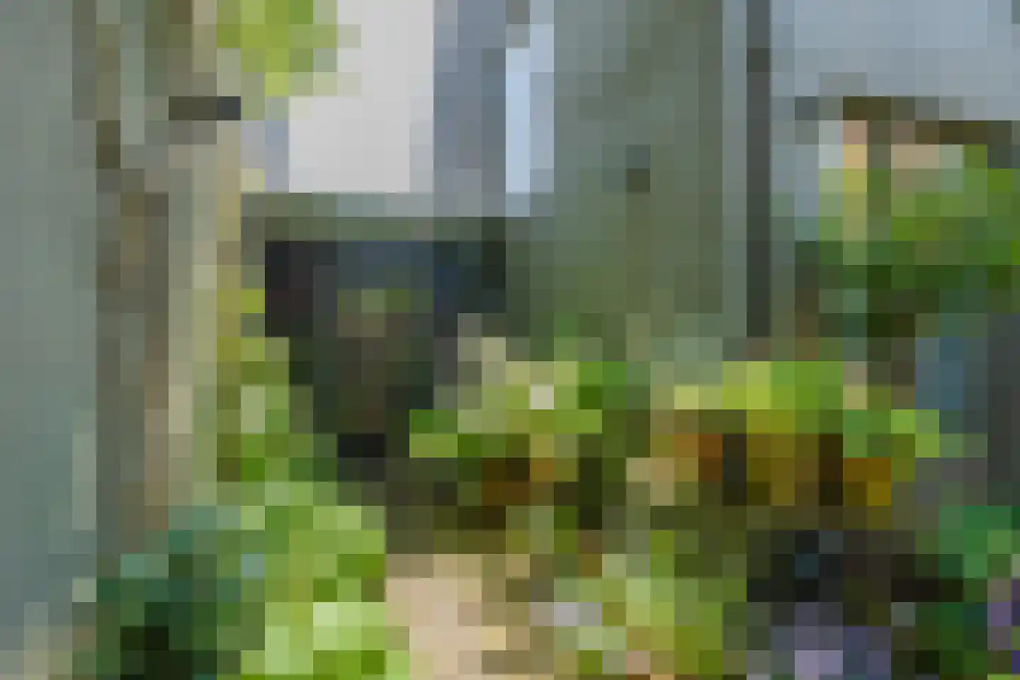Bronckhorststraat 17 Noordwijk thumbnail 18