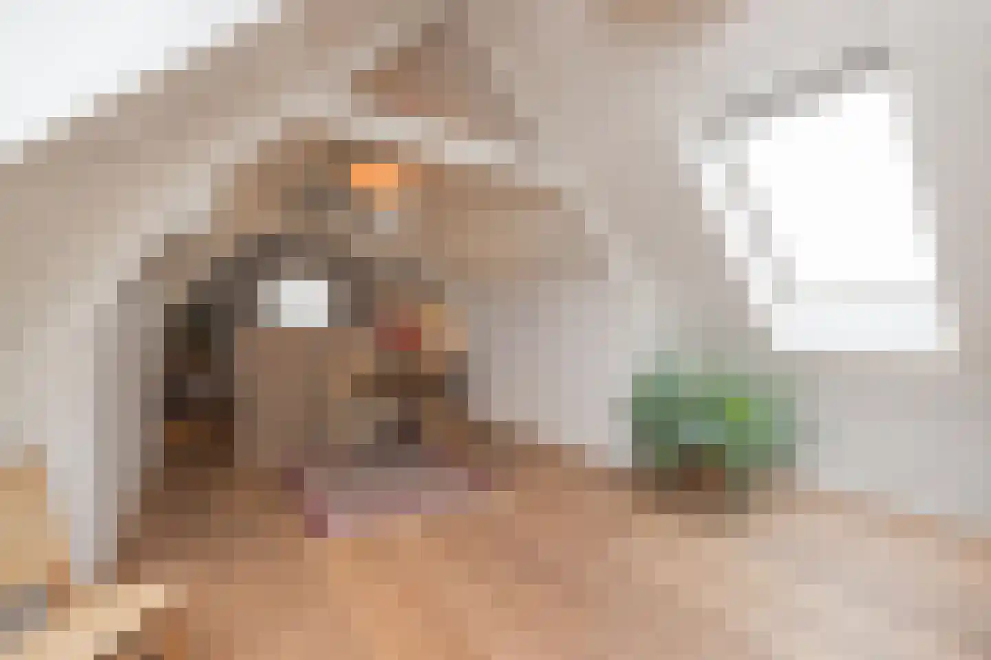 Bronckhorststraat 17 Noordwijk thumbnail 21