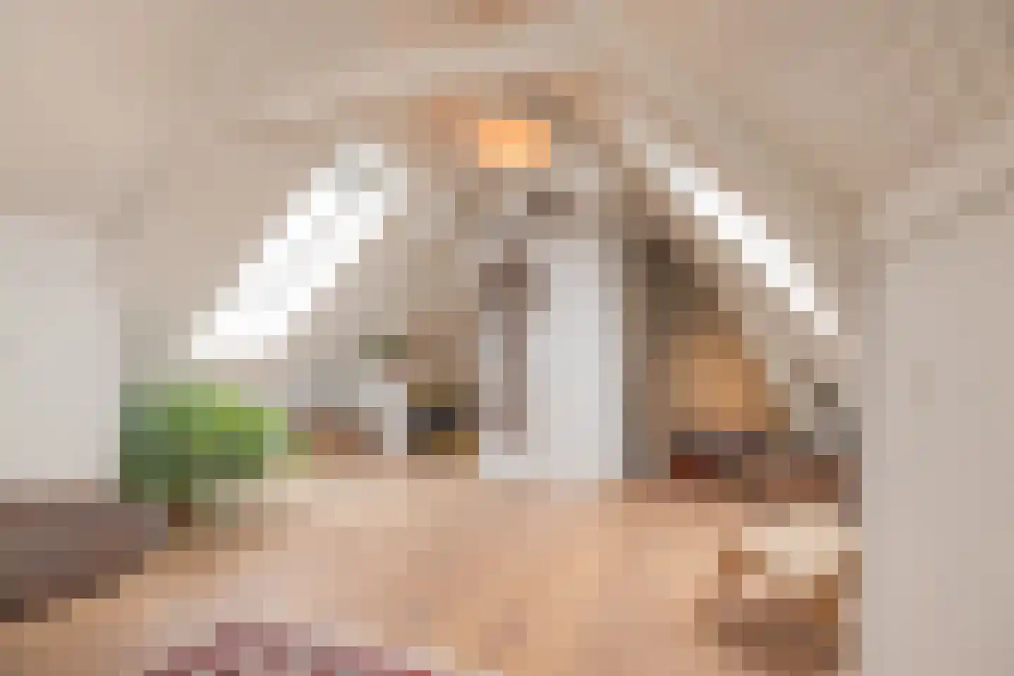 Bronckhorststraat 17 Noordwijk thumbnail 24