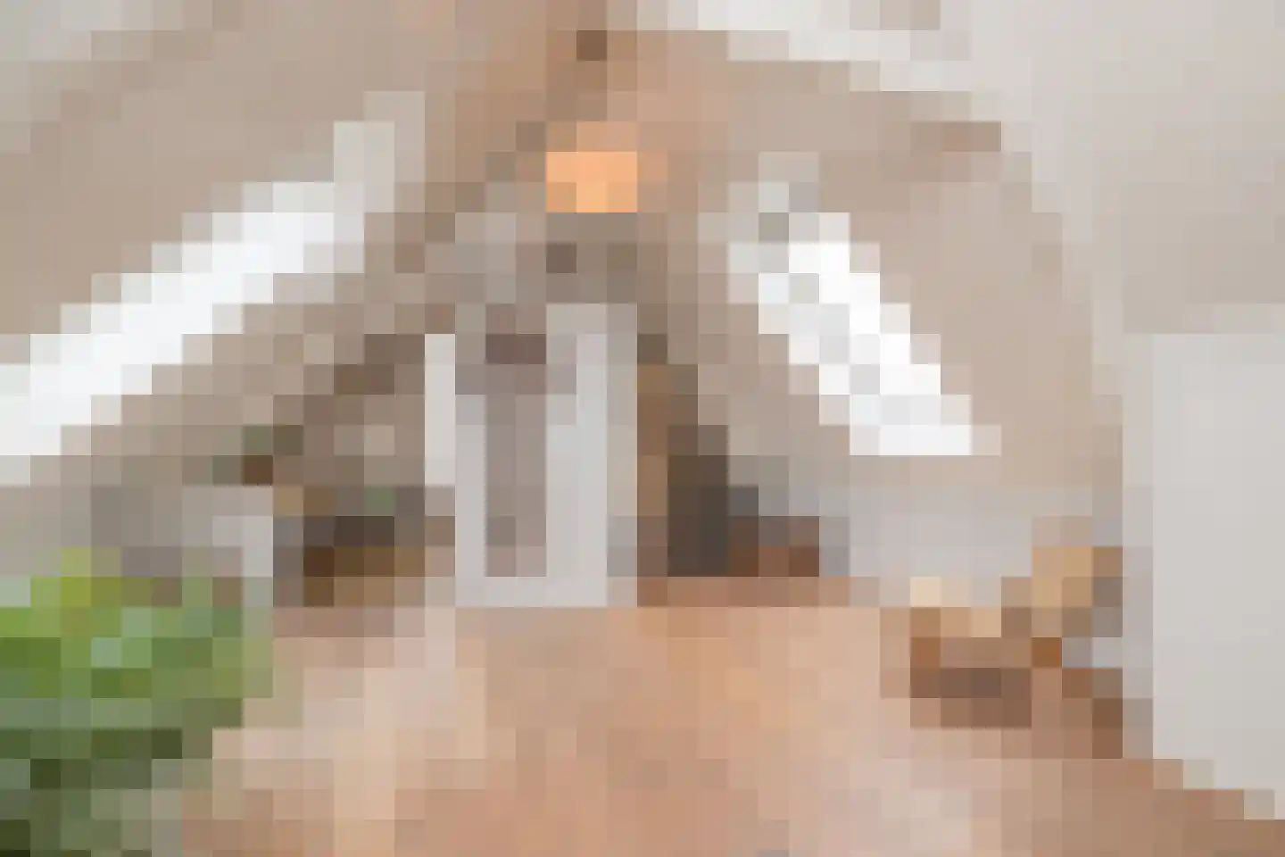 Bronckhorststraat 17 Noordwijk thumbnail 25