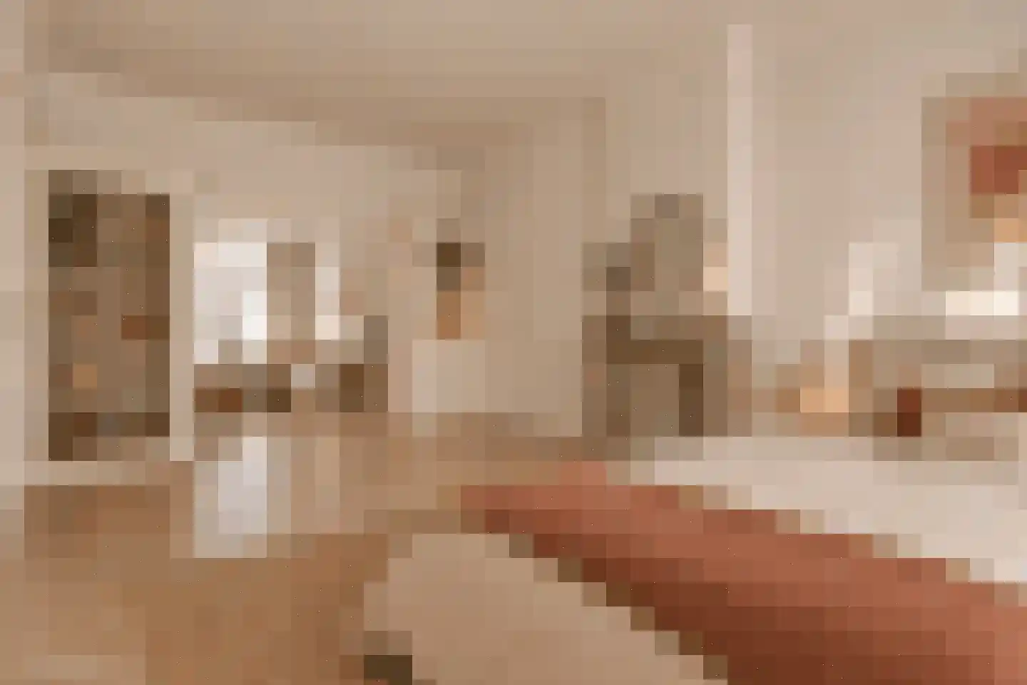 Bronckhorststraat 22 H Amsterdam thumbnail 5