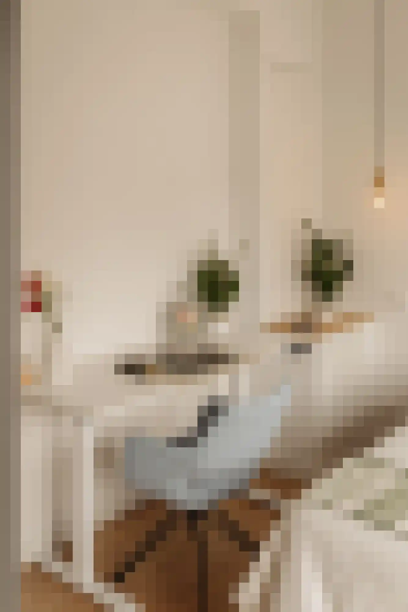 Bronckhorststraat 50 2 Amsterdam thumbnail 14