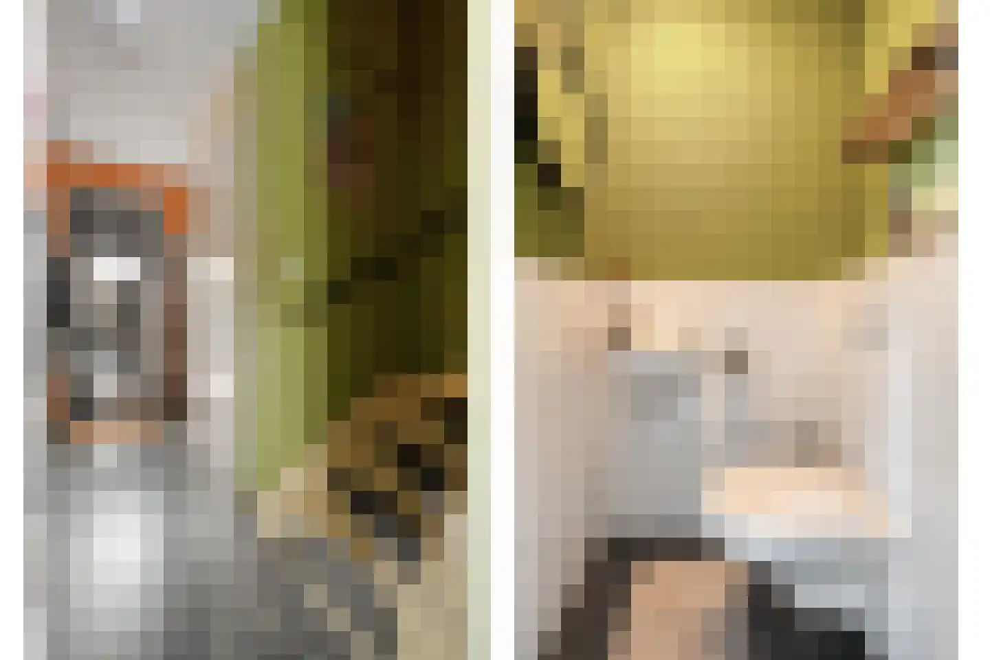 Bronforel 11 Nieuwleusen thumbnail 10