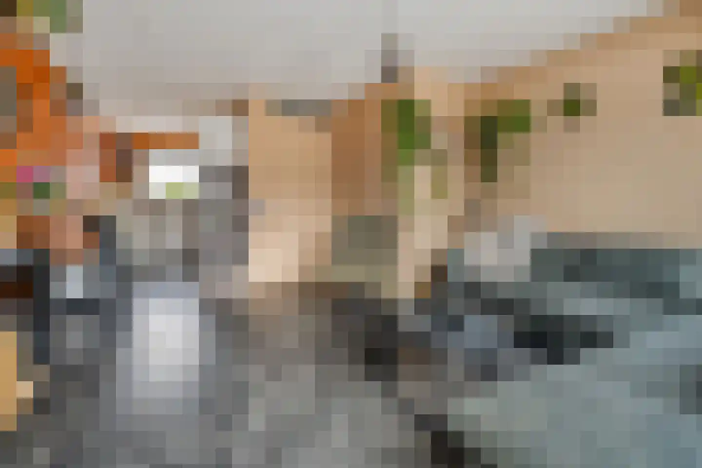 Bronforel 11 Nieuwleusen thumbnail 12